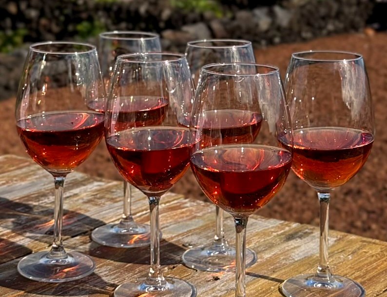 Wine tasting on Pico Island, Azores