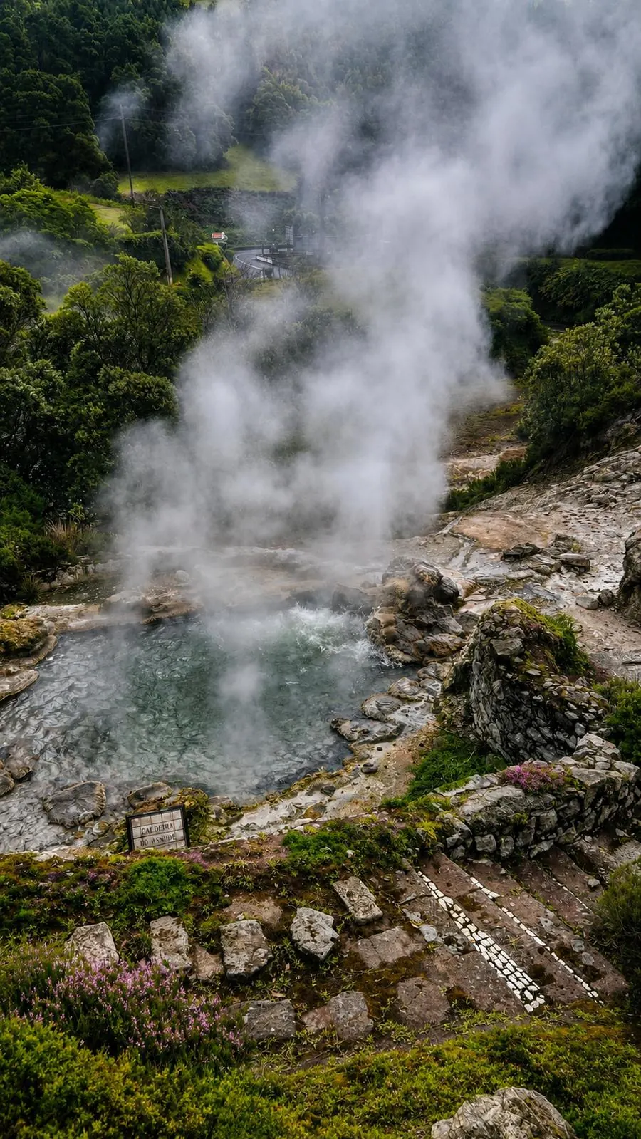 Private Furnas Volcano, Tea & Thermal Landscapes Tour