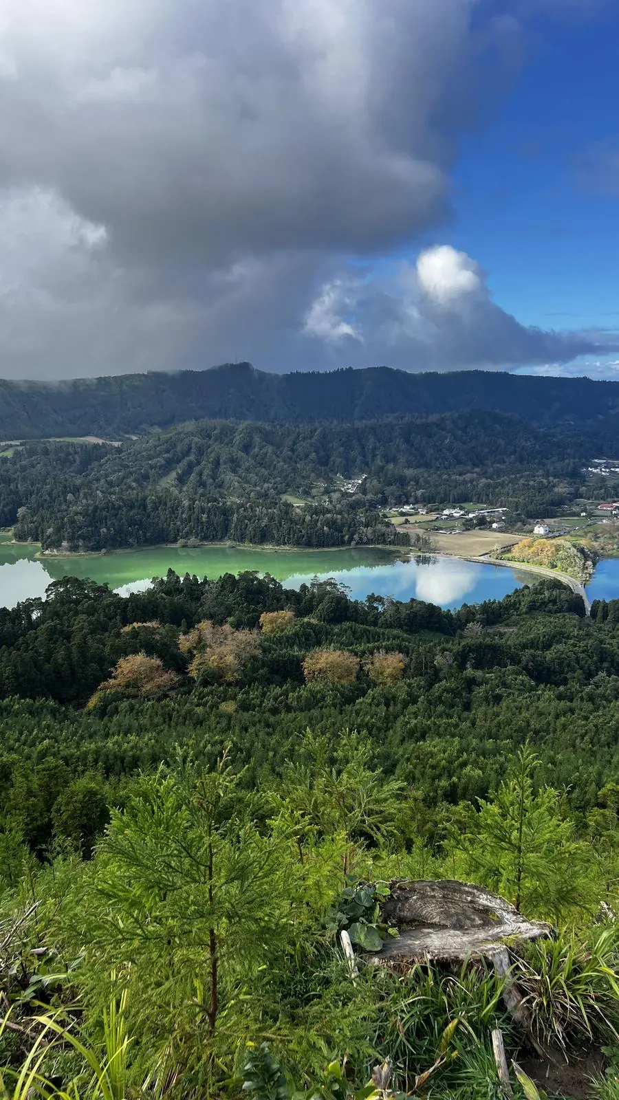 Best of São Miguel in One Day